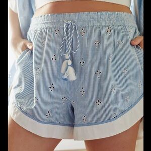 Anthropologie High Waist Blue and White Striped Shorts